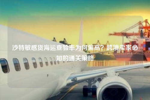 沙特敏感货海运查验率为何偏高？跨境卖家必知的通关策略
