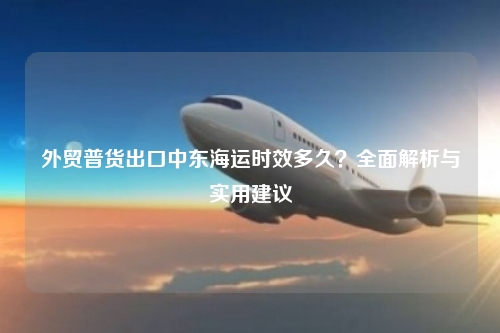 外贸普货出口中东海运时效多久？全面解析与实用建议