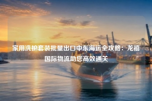 家用洗护套装批量出口中东海运全攻略：龙禧国际物流助您高效通关