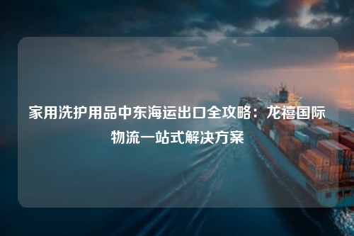 家用洗护用品中东海运出口全攻略：龙禧国际物流一站式解决方案