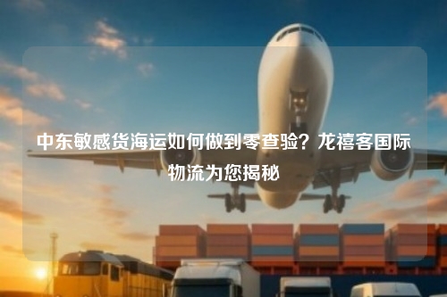 中东敏感货海运如何做到零查验？龙禧客国际物流为您揭秘