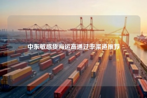 中东敏感货海运高通过率渠道推荐