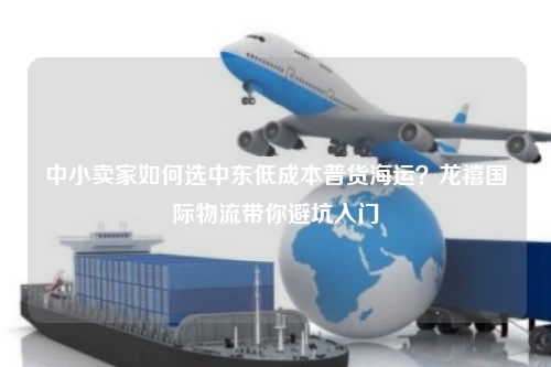 中小卖家如何选中东低成本普货海运？龙禧国际物流带你避坑入门