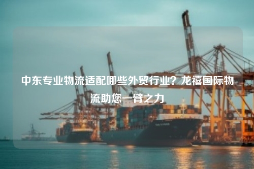 中东专业物流适配哪些外贸行业？龙禧国际物流助您一臂之力