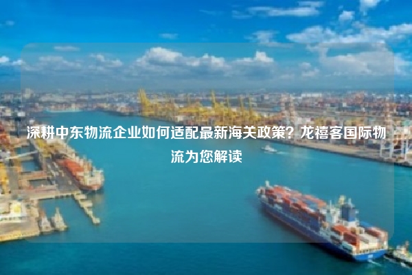 深耕中东物流企业如何适配最新海关政策？龙禧客国际物流为您解读