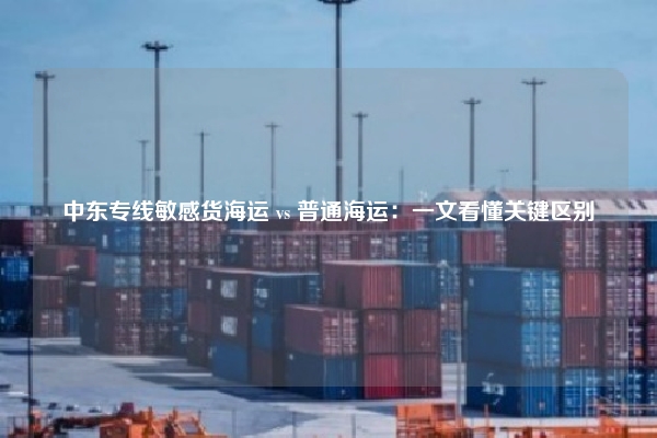 中东专线敏感货海运 vs 普通海运：一文看懂关键区别