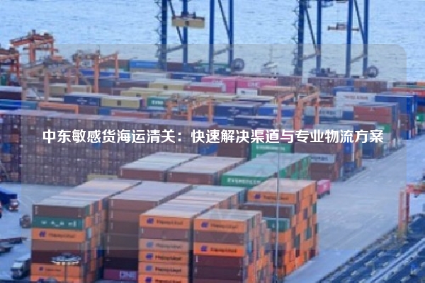 中东敏感货海运清关：快速解决渠道与专业物流方案