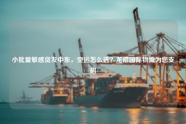 小批量敏感货发中东，空运怎么选？龙禧国际物流为您支招
