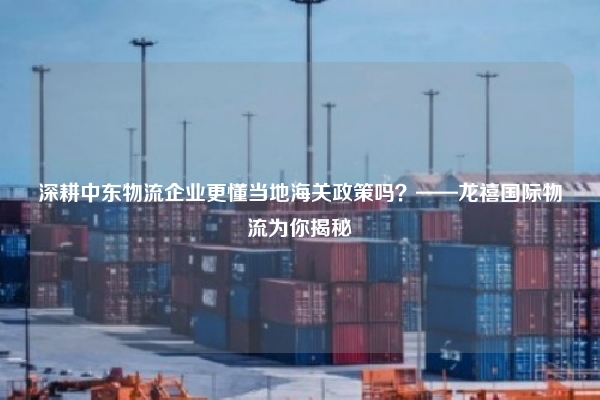 深耕中东物流企业更懂当地海关政策吗？——龙禧国际物流为你揭秘