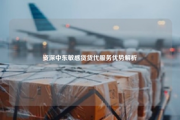 资深中东敏感货货代服务优势解析