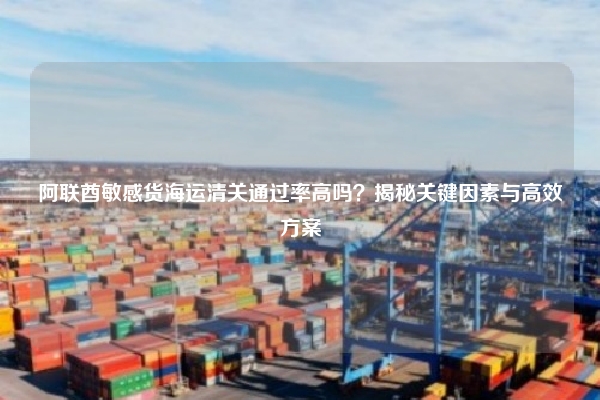 阿联酋敏感货海运清关通过率高吗？揭秘关键因素与高效方案