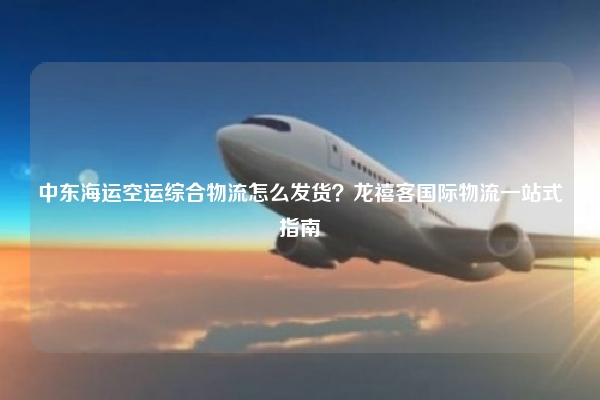 中东海运空运综合物流怎么发货？龙禧客国际物流一站式指南