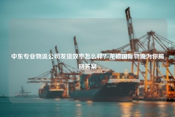 中东专业物流公司发货效率怎么样？龙禧国际物流为你揭晓答案