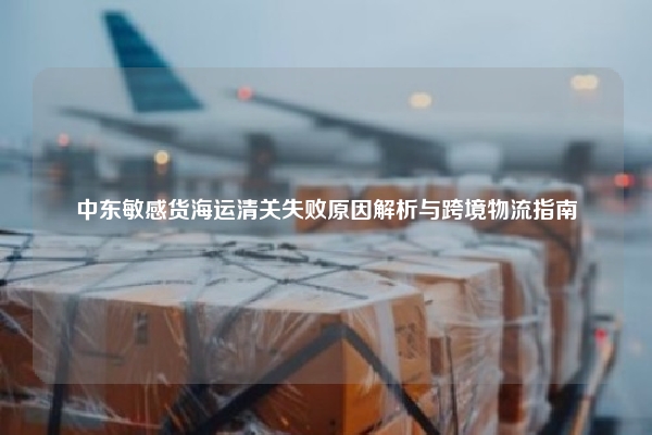 中东敏感货海运清关失败原因解析与跨境物流指南