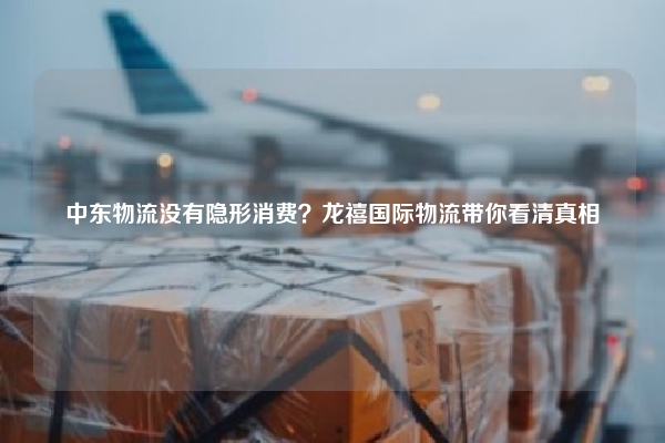 中东物流没有隐形消费？龙禧国际物流带你看清真相