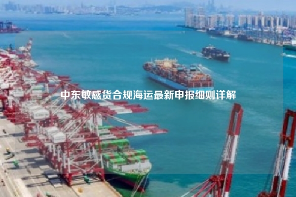 中东敏感货合规海运最新申报细则详解