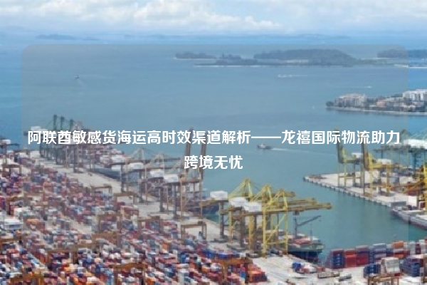 阿联酋敏感货海运高时效渠道解析——龙禧国际物流助力跨境无忧