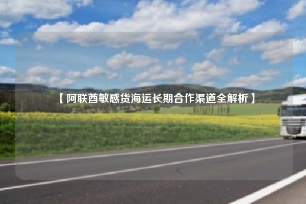【阿联酋敏感货海运长期合作渠道全解析】