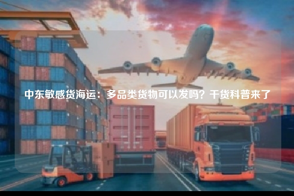 中东敏感货海运:多品类货物可以发吗?干货科普来了