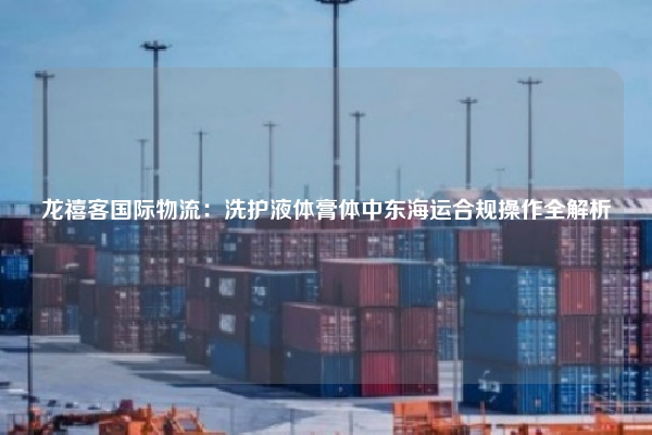 龙禧客国际物流：洗护液体膏体中东海运合规操作全解析