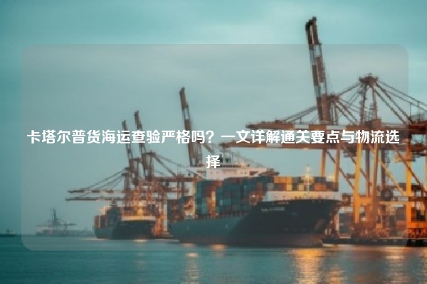 卡塔尔普货海运查验严格吗？一文详解通关要点与物流选择