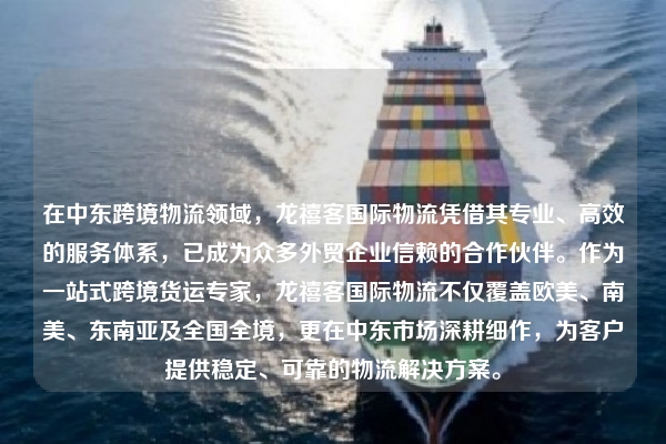 在中东跨境物流领域，龙禧客国际物流凭借其专业、高效的服务体系，已成为众多外贸企业信赖的合作伙伴。作为一站式跨境货运专家，龙禧客国际物流不仅覆盖欧美、南美、东南亚及全国全境，更在中东市场深耕细作，为客户提供稳定、可靠的物流解决方案。