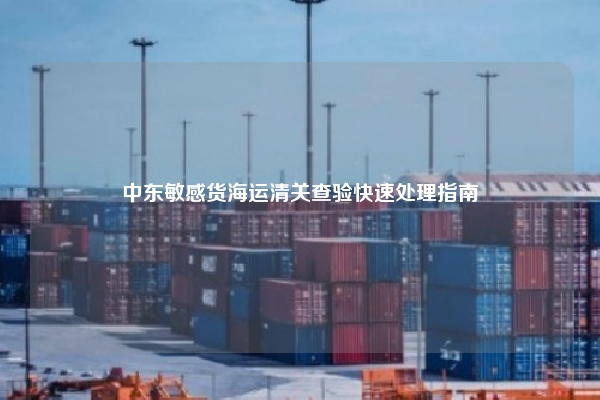 中东敏感货海运清关查验快速处理指南