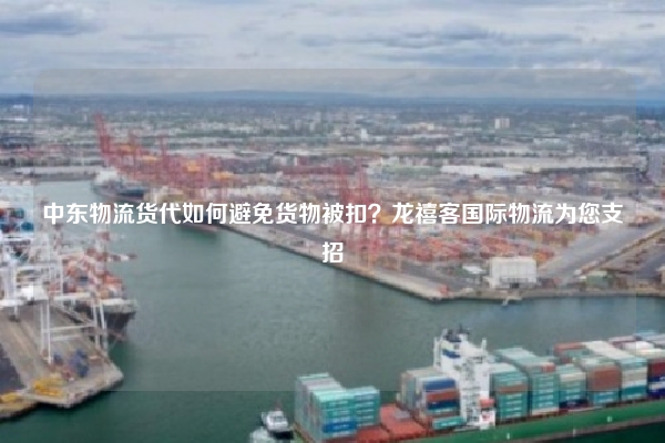 中东物流货代如何避免货物被扣？龙禧客国际物流为您支招