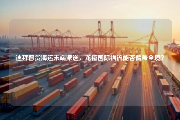 迪拜普货海运末端派送，龙禧国际物流能否覆盖全境？