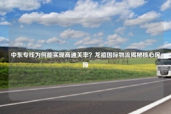 中东专线为何能实现高通关率？龙禧国际物流揭秘核心保障