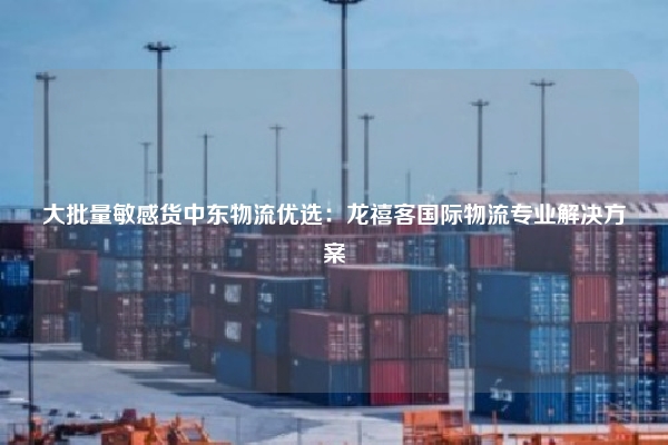 大批量敏感货中东物流优选：龙禧客国际物流专业解决方案