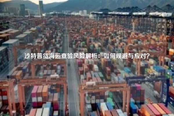 沙特普货海运查验风险解析：如何规避与应对？