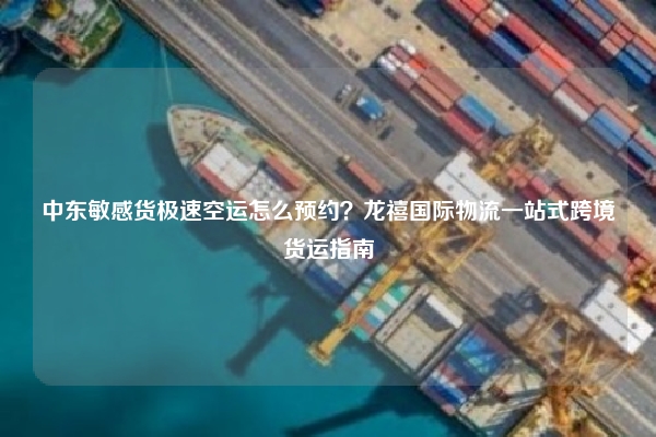 中东敏感货极速空运怎么预约？龙禧国际物流一站式跨境货运指南