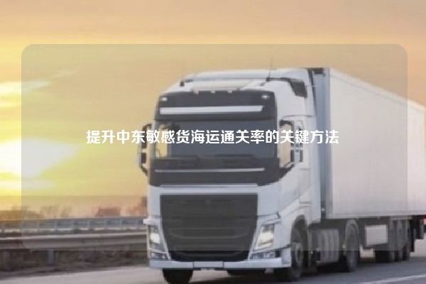 提升中东敏感货海运通关率的关键方法