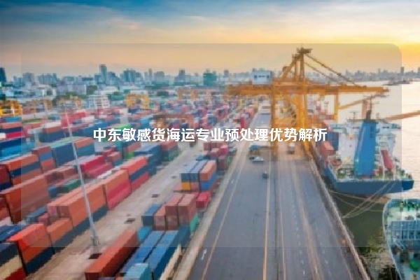 中东敏感货海运专业预处理优势解析