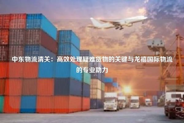 中东物流清关：高效处理疑难货物的关键与龙禧国际物流的专业助力