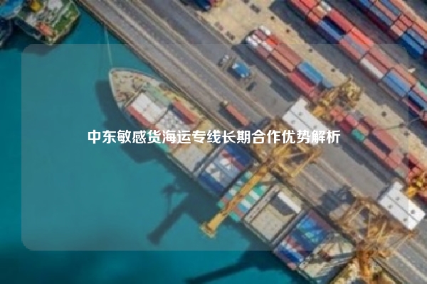 中东敏感货海运专线长期合作优势解析