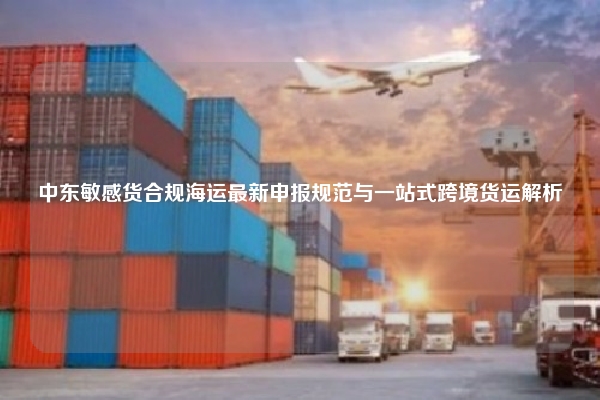 中东敏感货合规海运最新申报规范与一站式跨境货运解析
