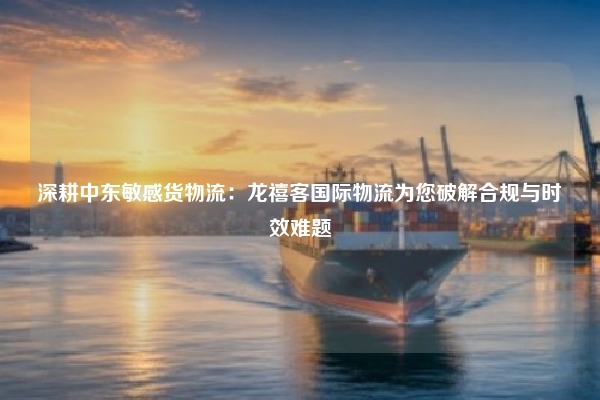 深耕中东敏感货物流：龙禧客国际物流为您破解合规与时效难题