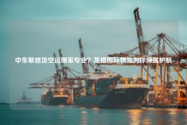 中东敏感货空运哪家专业？龙禧国际物流为你保驾护航