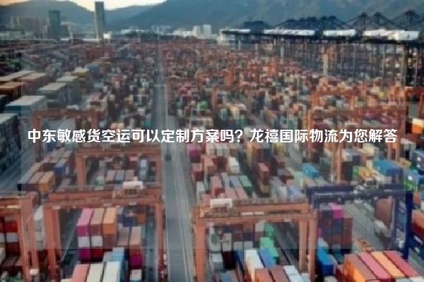 中东敏感货空运可以定制方案吗？龙禧国际物流为您解答