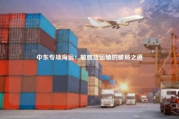 中东专项海运：敏感货运输的破局之道