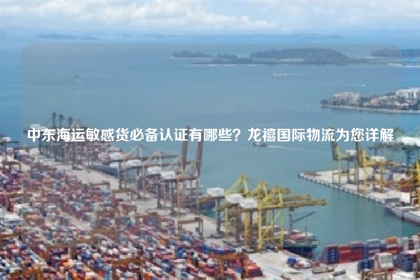 中东海运敏感货必备认证有哪些？龙禧国际物流为您详解