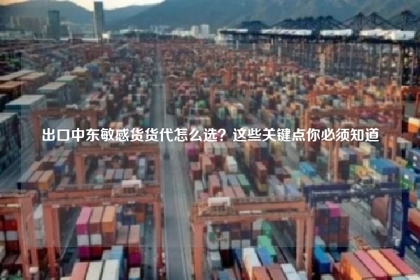 出口中东敏感货货代怎么选？这些关键点你必须知道