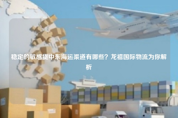 稳定的敏感货中东海运渠道有哪些？龙禧国际物流为你解析