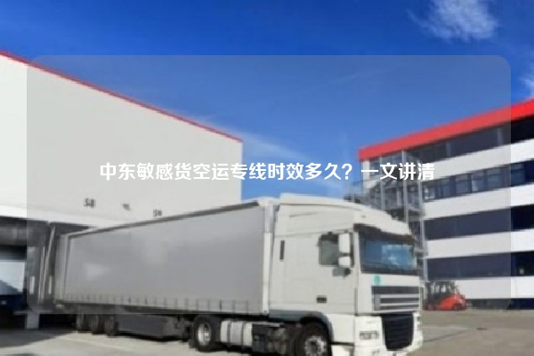 中东敏感货空运专线时效多久？一文讲清