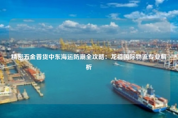 精密五金普货中东海运防潮全攻略：龙禧国际物流专业解析