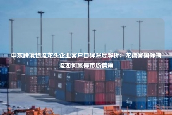 中东跨境物流龙头企业客户口碑深度解析：龙禧客国际物流如何赢得市场信赖