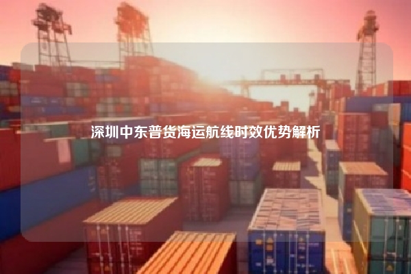 深圳中东普货海运航线时效优势解析