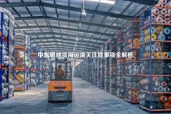 中东敏感货海运清关注意事项全解析